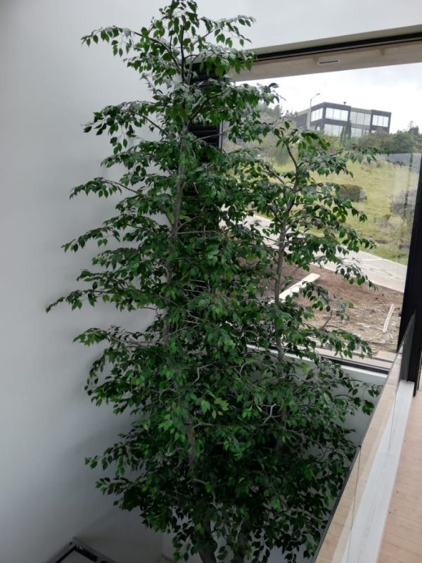 Árboles Artificiales para Paisajes