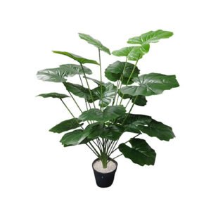 Planta 1-8925