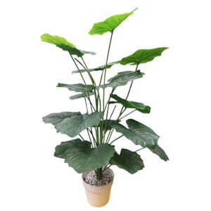 Planta 2-8925