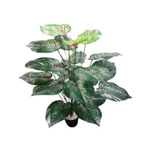 Planta 4-8925