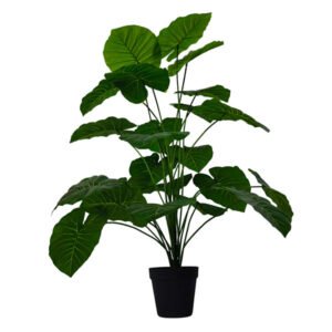 REFERENCIA: YW-18-22