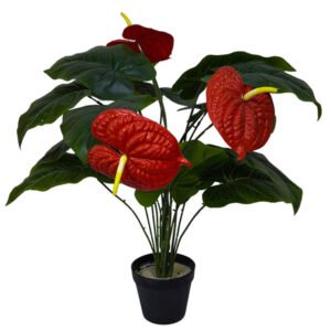Planta Pequeña REF YW-18-25