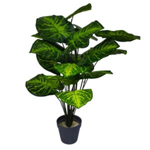 REFERENCIA: YW-18-44