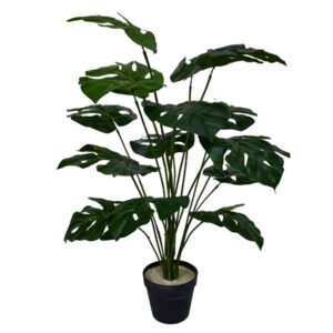 Plantas REF:YW-18-49