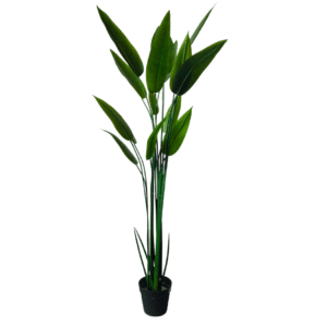 Plantas Grandes REF DKZ-9141