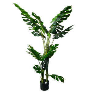 Plantas Grandes REF TL-0360
