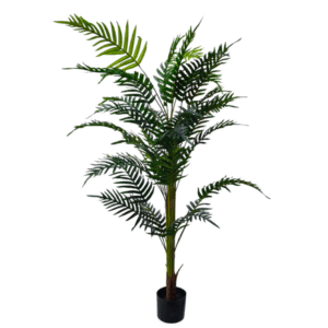 Plantas Grandes REF TL 0458