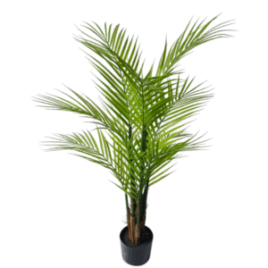 Plantas Grandes REF XY-SWK-90A