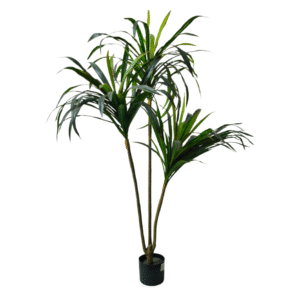 Plantas Grandes REF TL-0602