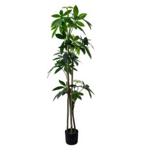 Plantas Grandes REF TL-1040