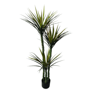 Plantas Grandes REF TL-0704