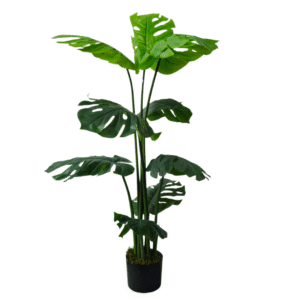 Plantas Grandes REF LL-37-90cm