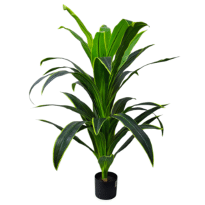 Plantas Grandes REF TL-0446