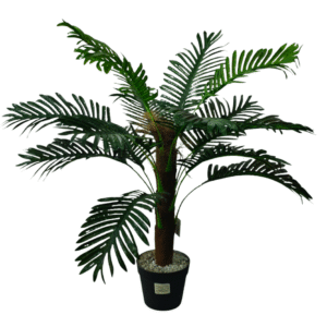 Plantas Grandes REF WS 201531635