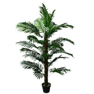 Plantas Grandes REF 3215491652