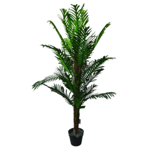 Plantas Grandes REF WS 2815431645