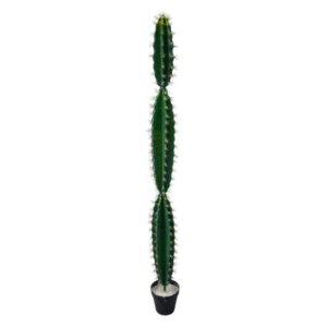 Plantas Grandes REF QY-11