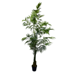 Plantas Grandes REF DKZ-9034
