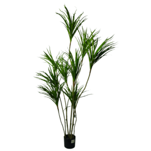 Plantas Grandes REF TL-0767