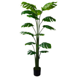 Plantas Grandes REF LL-37-180cm