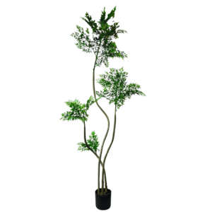 Plantas Grandes REF TL-1019