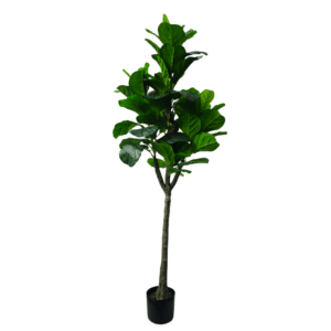 Plantas Grandes REF TL-0428
