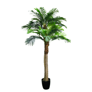 Plantas Grandes REF F03304356