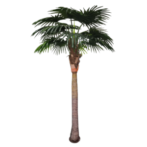 Plantas Grandes REF LL-57-240cm