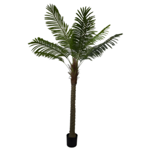 Plantas Grandes REF LL-57-210cm