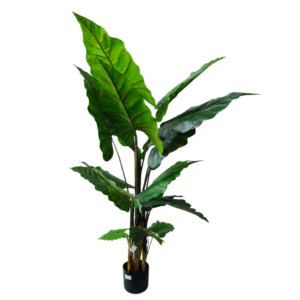 Plantas Grandes REF QY-11-105
