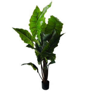 Plantas Grandes REF TL-0723