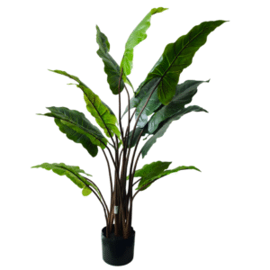 Plantas Grandes REF FL-6443