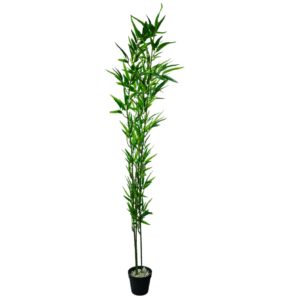 Plantas Grandes REF FL-0442