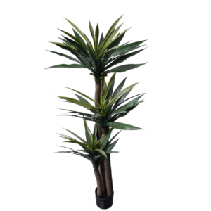 Plantas Grandes REF TL-0701