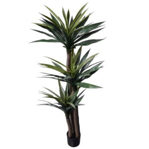 Plantas Grandes REF TL-0702