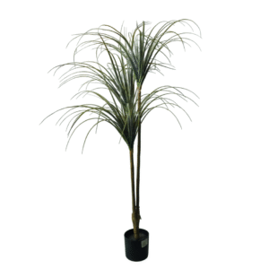 Plantas Grandes REF TL-0648