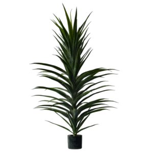 Plantas Grandes REF TL-0688