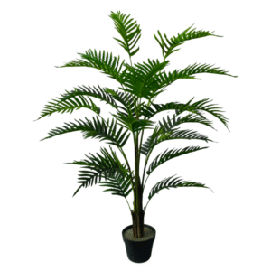 Plantas Grandes REF 1.2M24