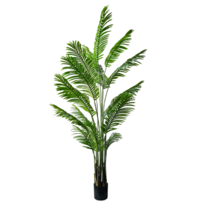 Plantas Grandes REF LL-19