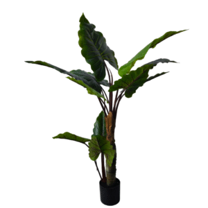 Plantas Grandes REF FL-6463