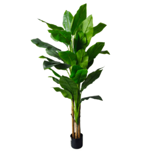 Plantas Grandes REF TL-0717 Medida 220cm
