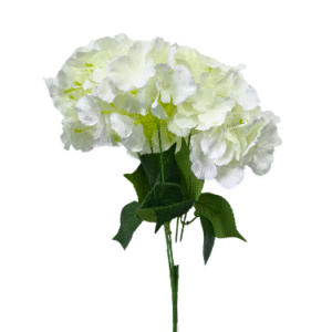 Plantas Colgantes Colores REF 7929 Blanca