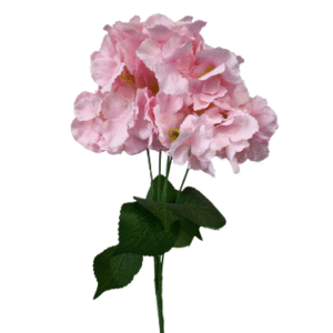 Plantas Colgantes Colores REF 7929 Rosa