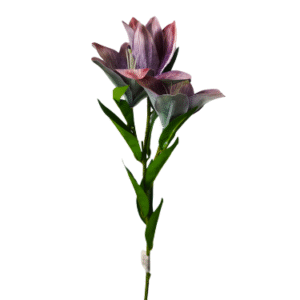 Plantas Colgantes Colores REF 8787 Flor