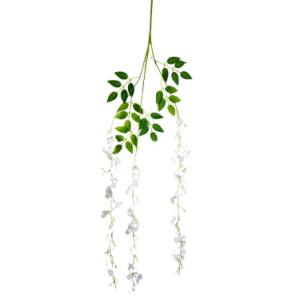 Plantas Colgantes Colores REF Colgante de Techo Blanca