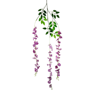 Plantas Colgantes Colores REF Colgante de Techo Fucsia