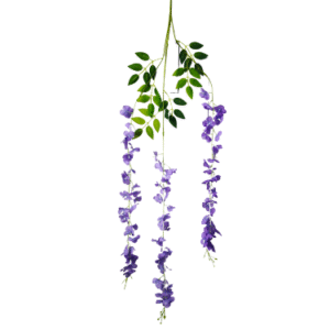 Plantas Colgantes Colores REF Colgante de Techo Morada
