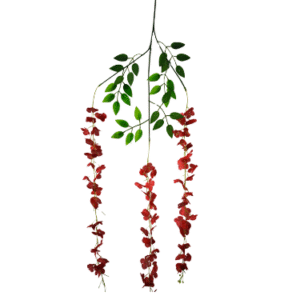 Plantas Colgantes Colores REF Colgante de Techo Roja