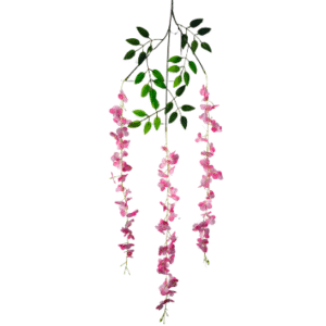 Plantas Colgantes Colores REF Colgante de Techo Rosa