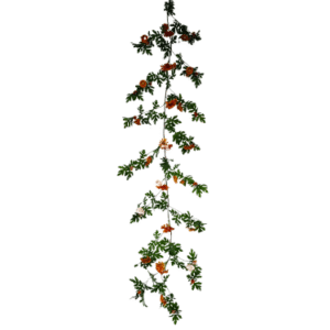 Plantas Colgantes Colores REF JT-TSJHT Naranja